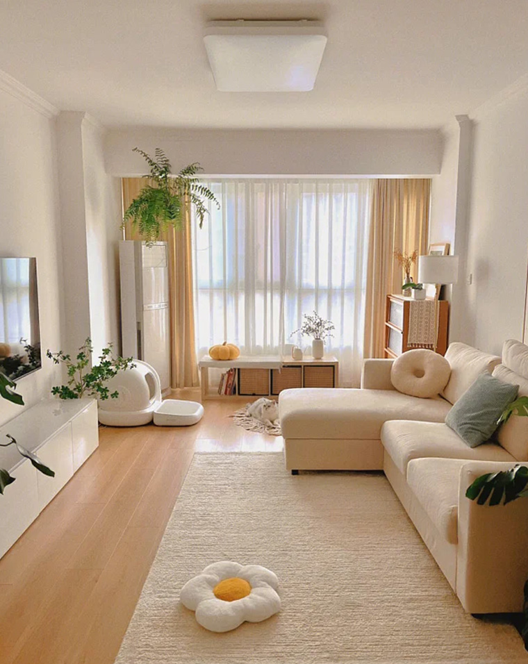 Living Room Furniture