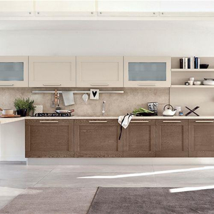 MDF Kitchen Cabinets