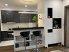 Acrylic Kitchen Cabinets