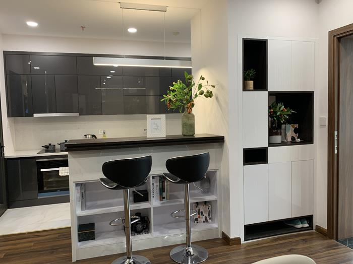 Acrylic Kitchen Cabinets